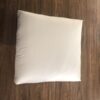 Cat Cushion