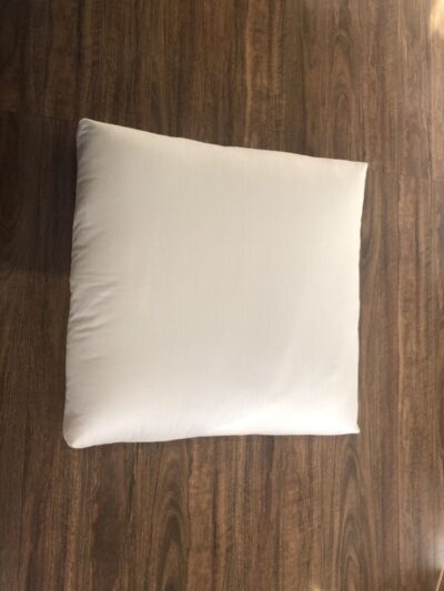 Cat Cushion